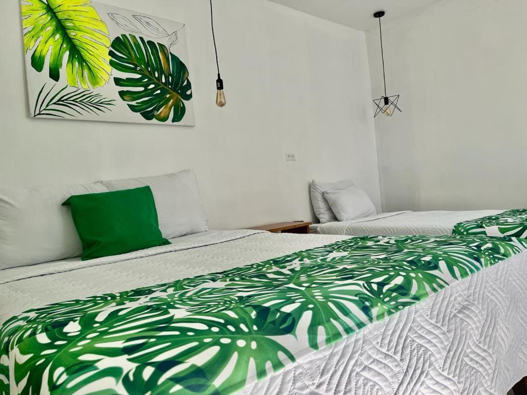 Freddy'S Place B&B Monteverde Bagian luar foto