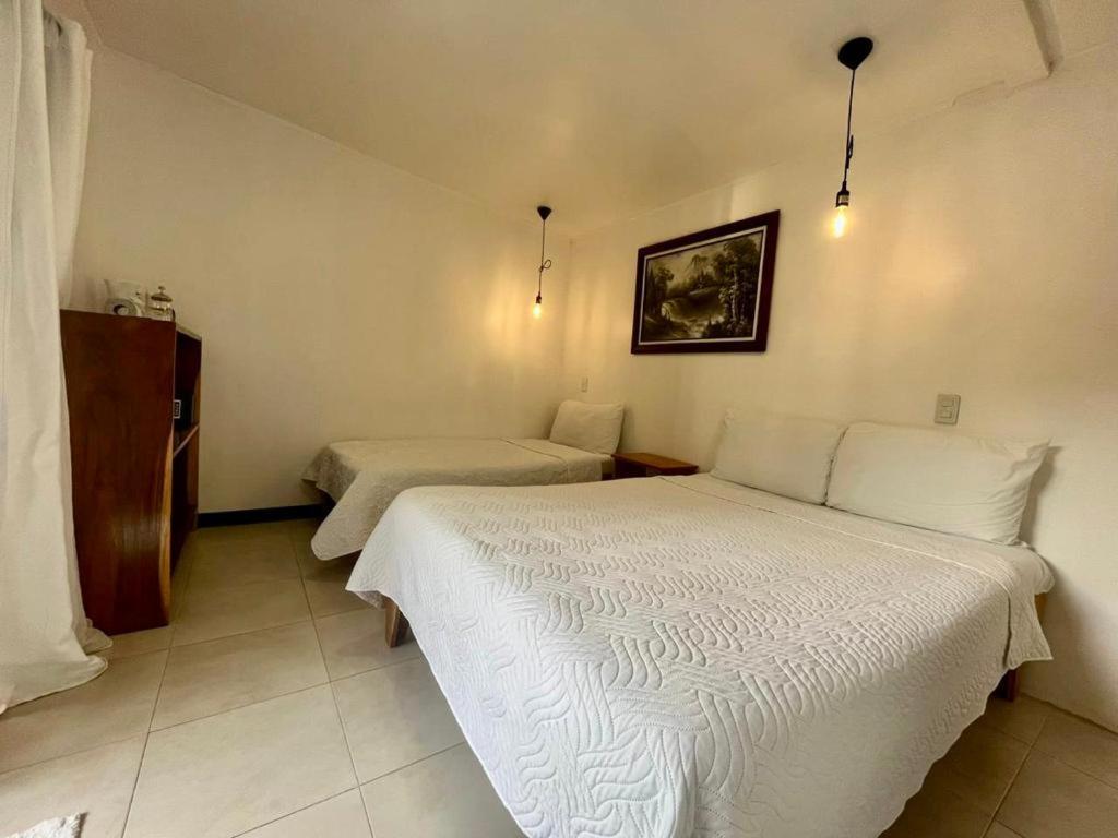Freddy'S Place B&B Monteverde Bagian luar foto