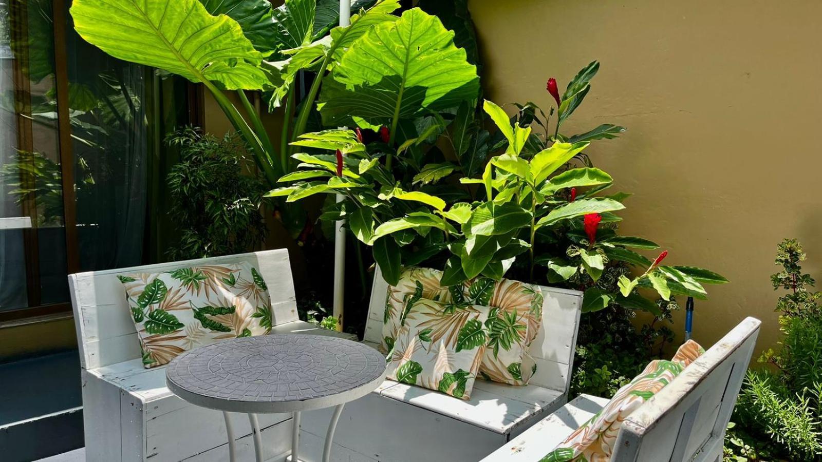 Freddy'S Place B&B Monteverde Bagian luar foto